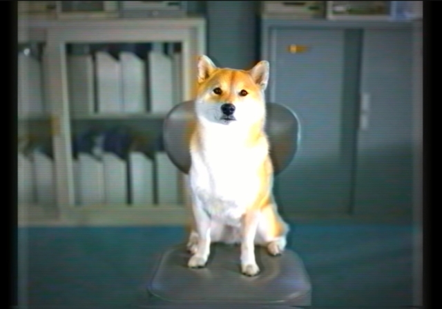 化为柴犬扛起全人类的命运吧！ PS VR对应游戏《HUMANITY》，只要汪一声就能引导人类