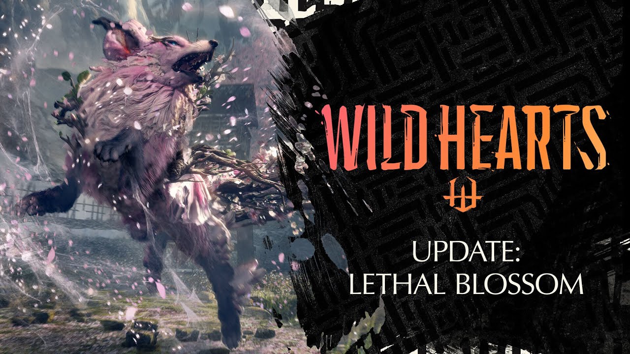 230406-wildhearts-asset-01