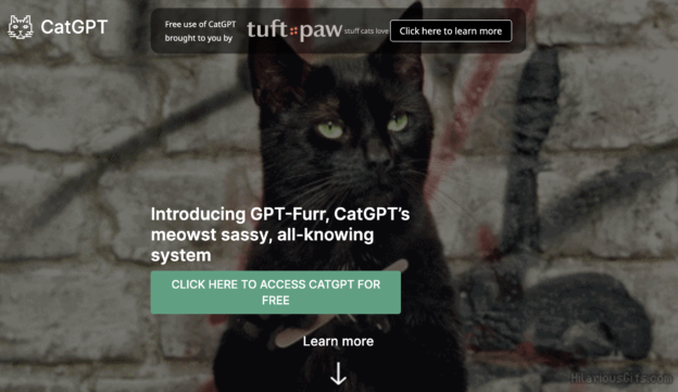 ChatGPT 喵星人版本！ 猫奴们玩过“CatGPT”了吗？