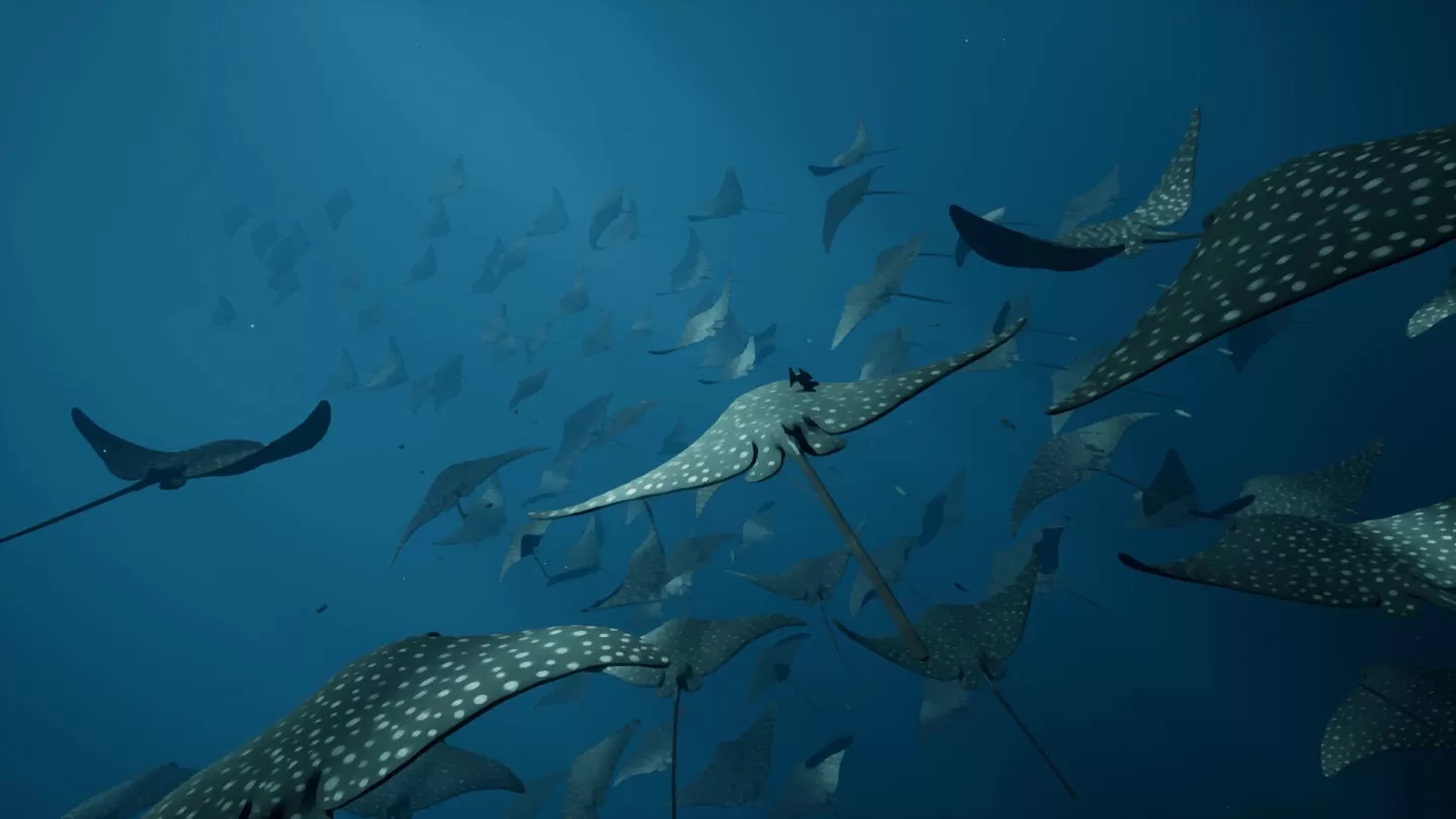 UE5 海洋探险游戏《Whale Fall》商店页面公开，进入神秘水下世界感受生命的奥秘