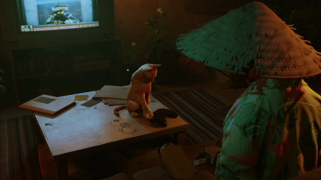 猫咪游戏《Stray》确认登陆 Xbox平台 小橘猫依然无情地把Xbox摇杆推下去了XD