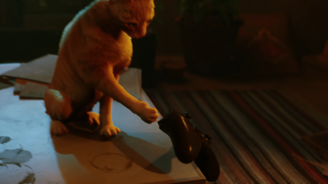 猫咪游戏《Stray》确认登陆 Xbox平台 小橘猫依然无情地把Xbox摇杆推下去了XD