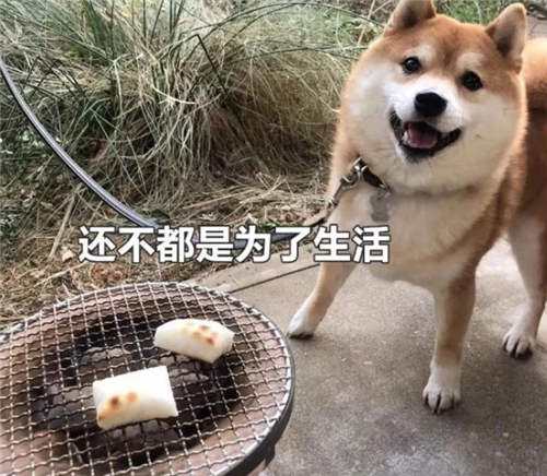 小说抄写员兼职是真的吗(看完你就明白了)