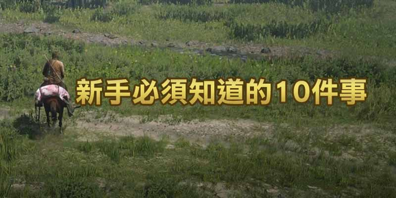 【碧血狂杀2 PC单机版】RDR2 新手必须知道的10件事（图文攻略）