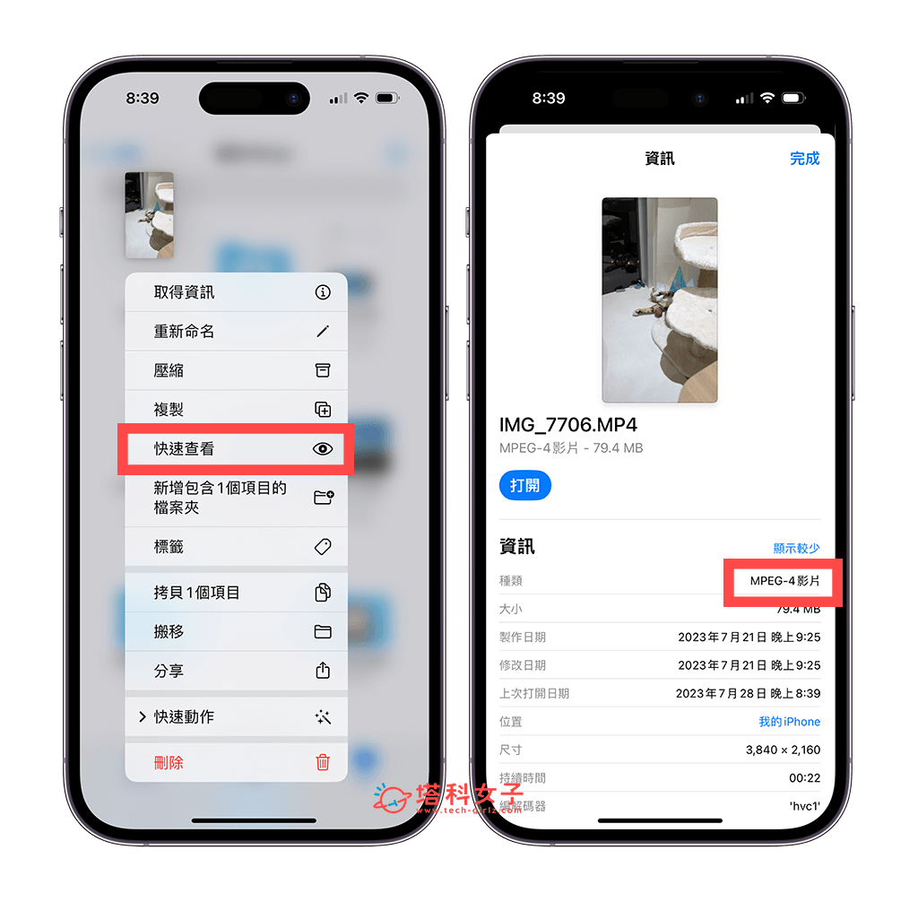 检查 iPhone 视频是否是 MP4 格式：快速查看格式