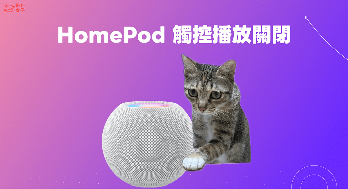 HomePod mini 触控播放关闭教学，避免猫咪玩 HomePod 半夜播放音乐