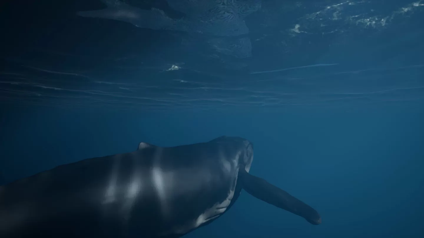UE5 海洋探险游戏《Whale Fall》商店页面公开，进入神秘水下世界感受生命的奥秘