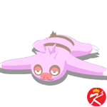 Pokemon sleep 宝可梦睡姿异色图鉴：懒人獺