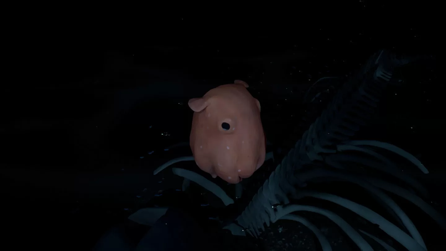 UE5 海洋探险游戏《Whale Fall》商店页面公开，进入神秘水下世界感受生命的奥秘