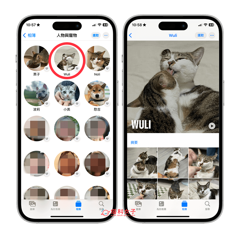 iOS 17 宠物照片识别功能