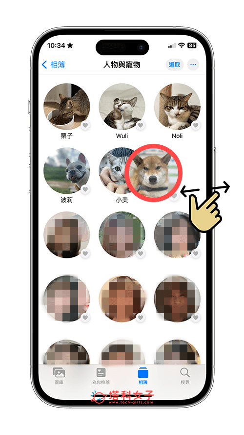 iPhone 宠物相册自动识别宠物照片：更改宠物相册排序