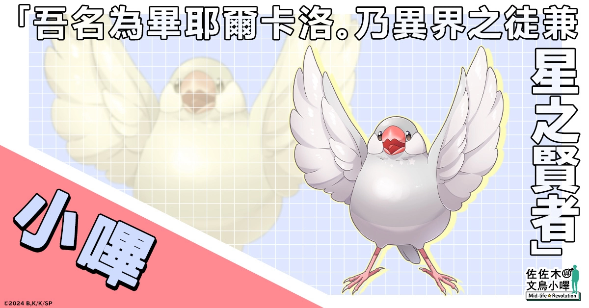 决定动画化的超人气作品《佐佐木与文鸟小哔 Mid-life Revolution》将在G123首次登场！ 即日开放事前预约