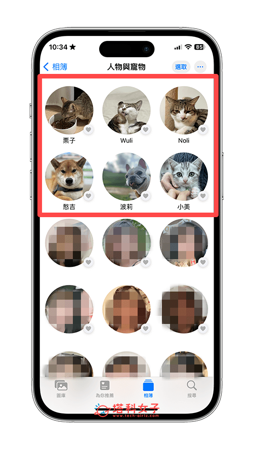 iPhone 宠物相册自动识别宠物照片：查看宠物相册