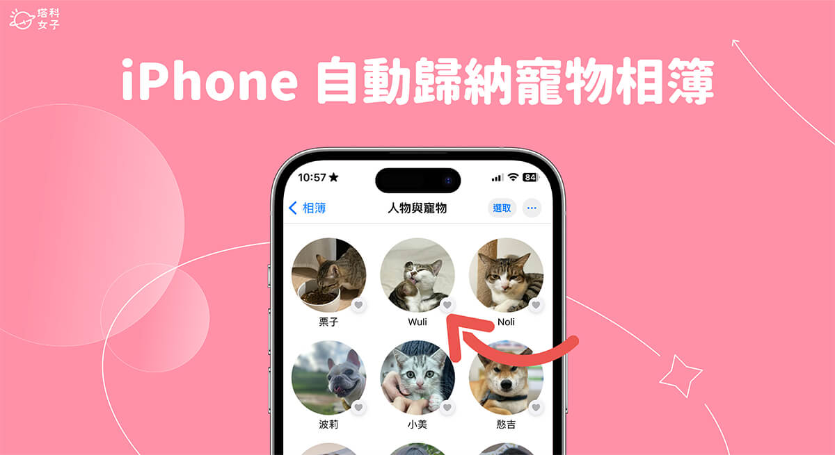 iPhone 宠物相册怎么用？ iOS 17 宠物照片识别、自动识别！