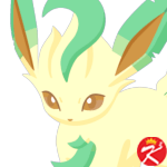Pokemon sleep 宝可梦睡姿图鉴：叶伊布