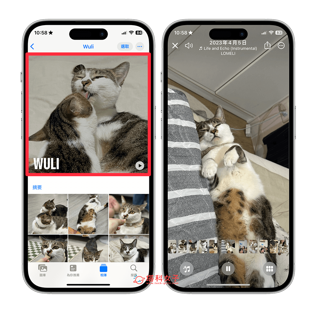 查看 iPhone 宠物相册回忆