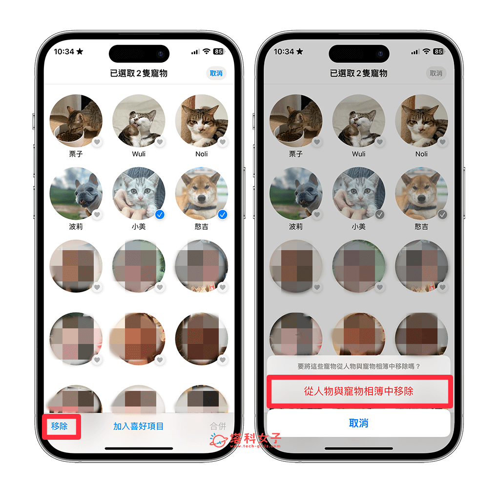 iPhone 宠物相册自动识别宠物照片：移除宠物相册