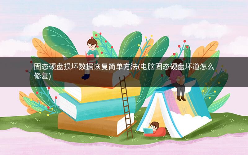 固态硬盘损坏数据恢复简单方法(电脑固态硬盘坏道怎么修复)