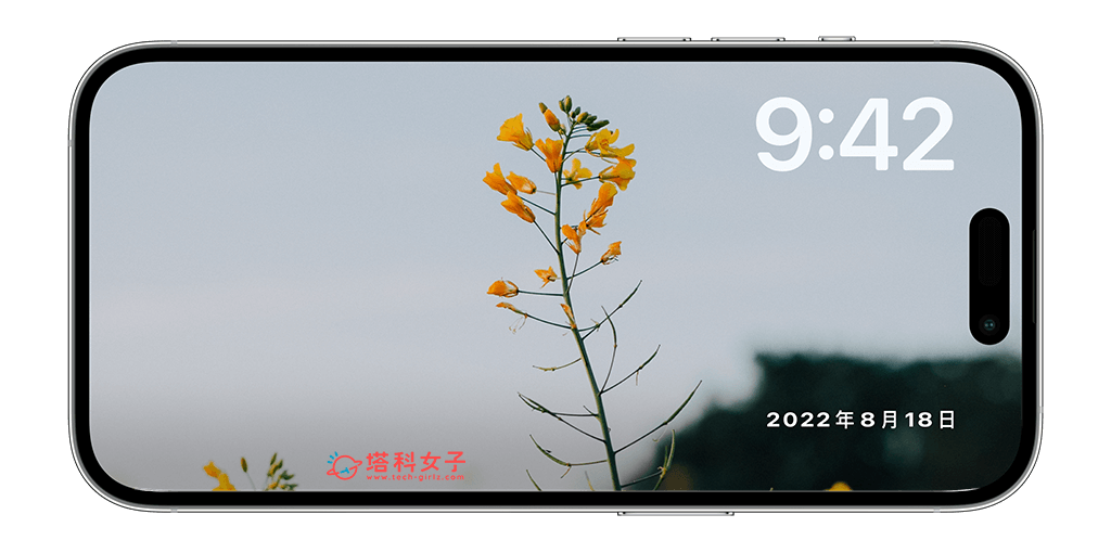 iPhone 待机模式照片更改不同相册