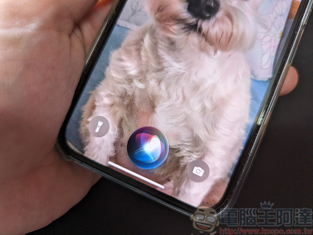 当你捡到别人的 iPhone，要跟 Siri 说些什么来找到失主？ （同场加映：为自己的iPhone未雨绸缪） - 电脑王阿达