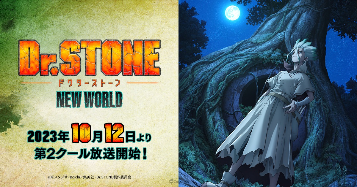 Dr.STONE NEW WORLD
