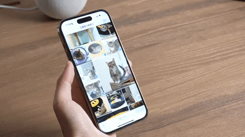 iPhone AirDrop 靠近分享怎么用？ 两支 iPhone 互相靠近就能通过 AirDrop 传送 （iOS17）