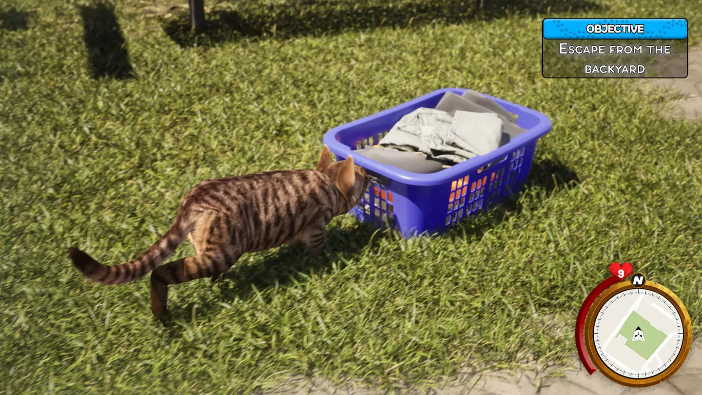 《Cat Life Simulator 猫咪生活模拟器》逼真模拟新作发表，化身猫咪自由自在地过活！
