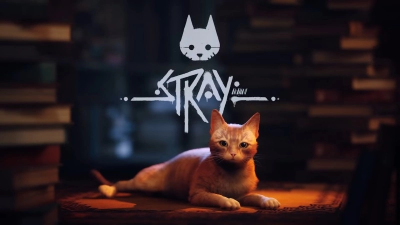《浪猫 Stray》宣布电影化！ 人气猫咪冒险即将跃上大屏幕