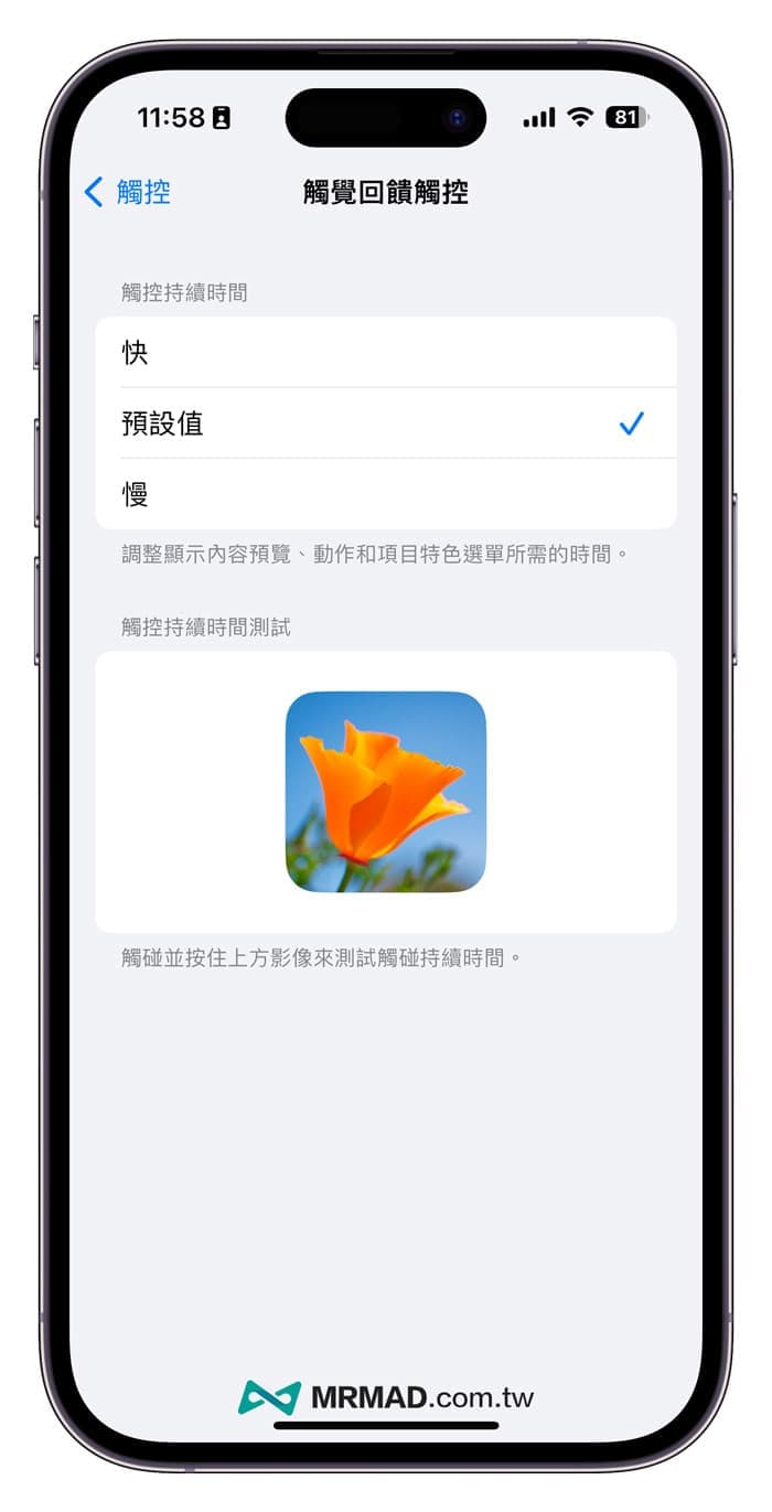 如何调整 iPhone 触觉回馈触控速度 1 