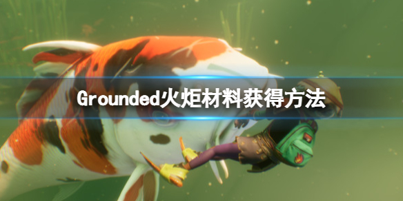 《禁闭求生》怎么做火把？Grounded火炬材料获得方法