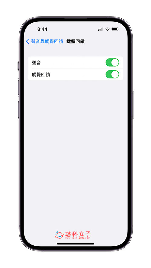 开启或关闭 iPhone 打字声音：声音