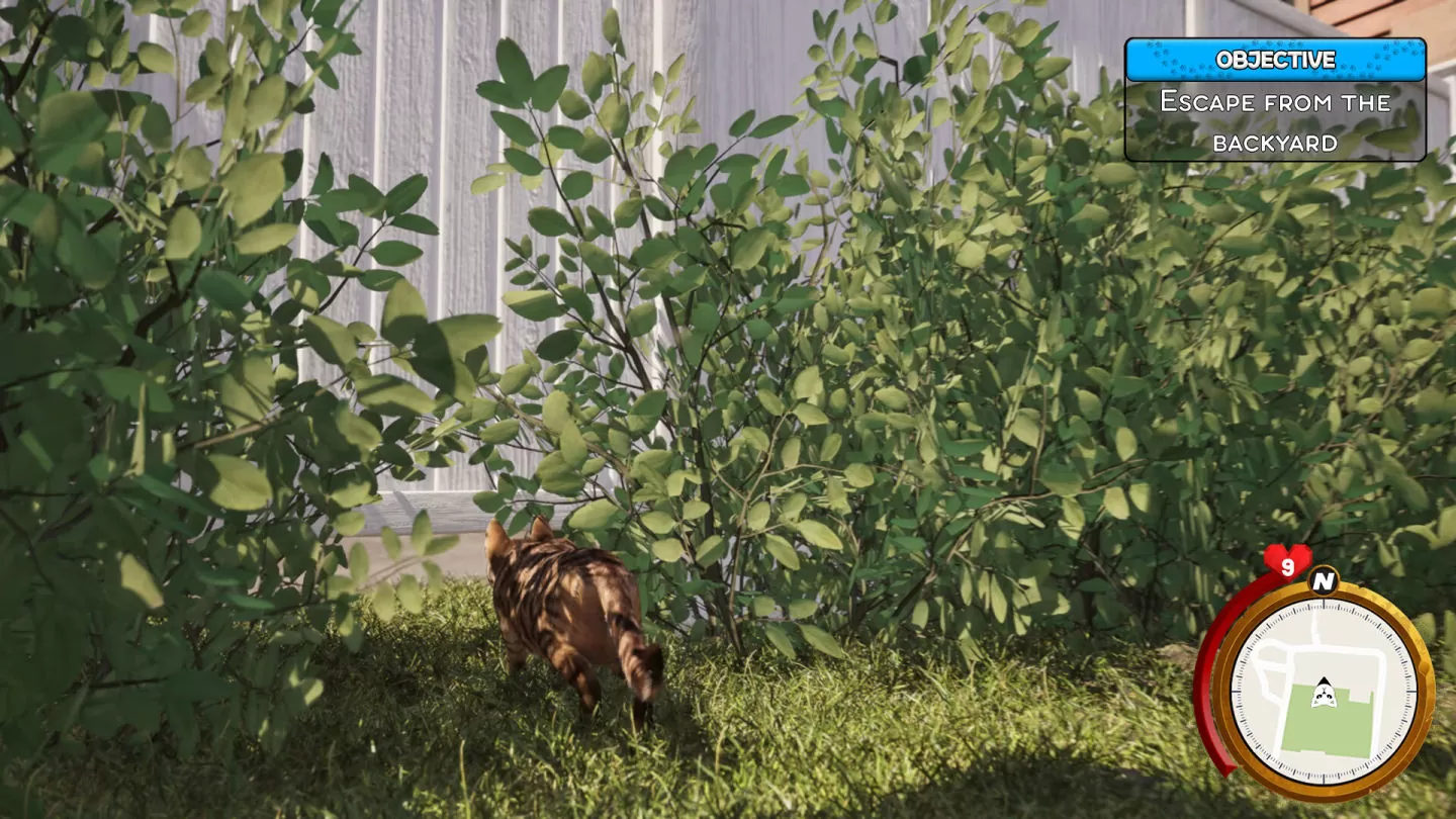 《Cat Life Simulator 猫咪生活模拟器》逼真模拟新作发表，化身猫咪自由自在地过活！