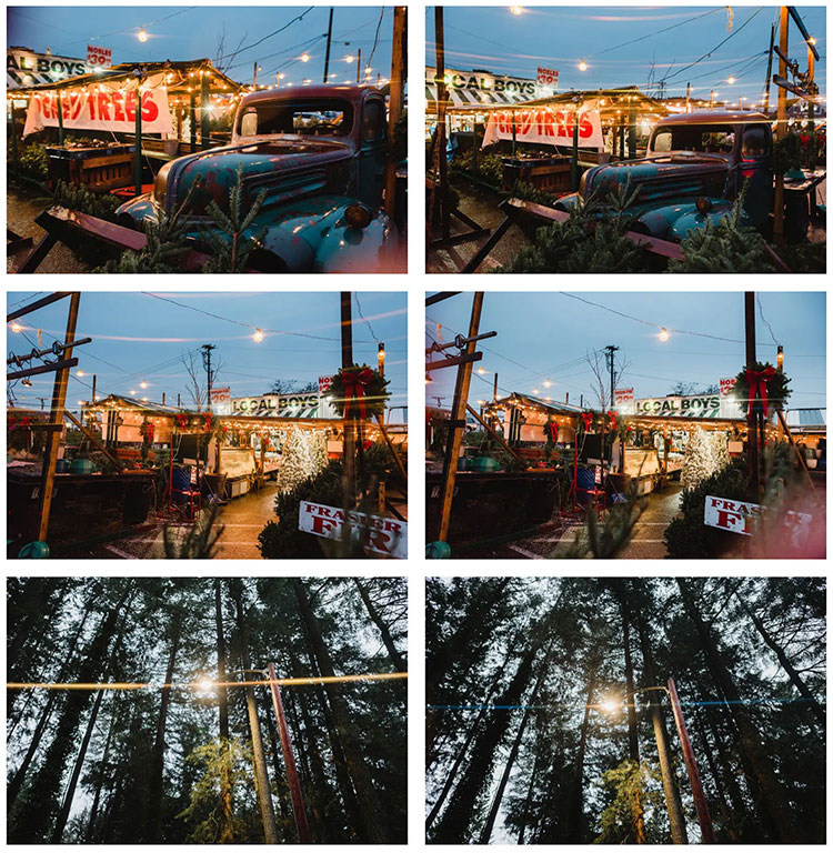 无需专业镜头：Moment CineFlare Streak 滤镜随时提供电影感光晕