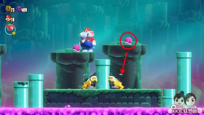 Switch 超级马里欧兄弟惊奇 水管怎么推？ 紫色岩浆怎么过？