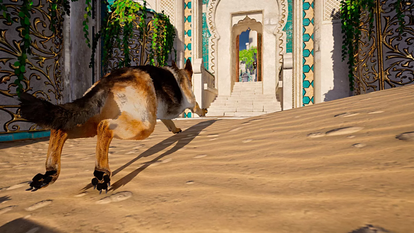 3D 狗狗动作冒险《Doggy Rise》发表，忠犬与少年展开一段奇妙而感人的旅程