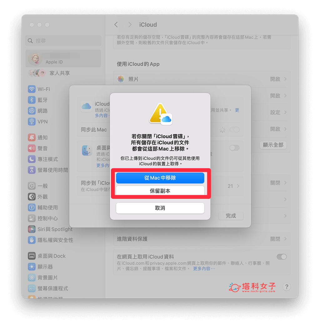 关闭 Mac 上的 iCloud 云碟功能：选择移除或保留副本