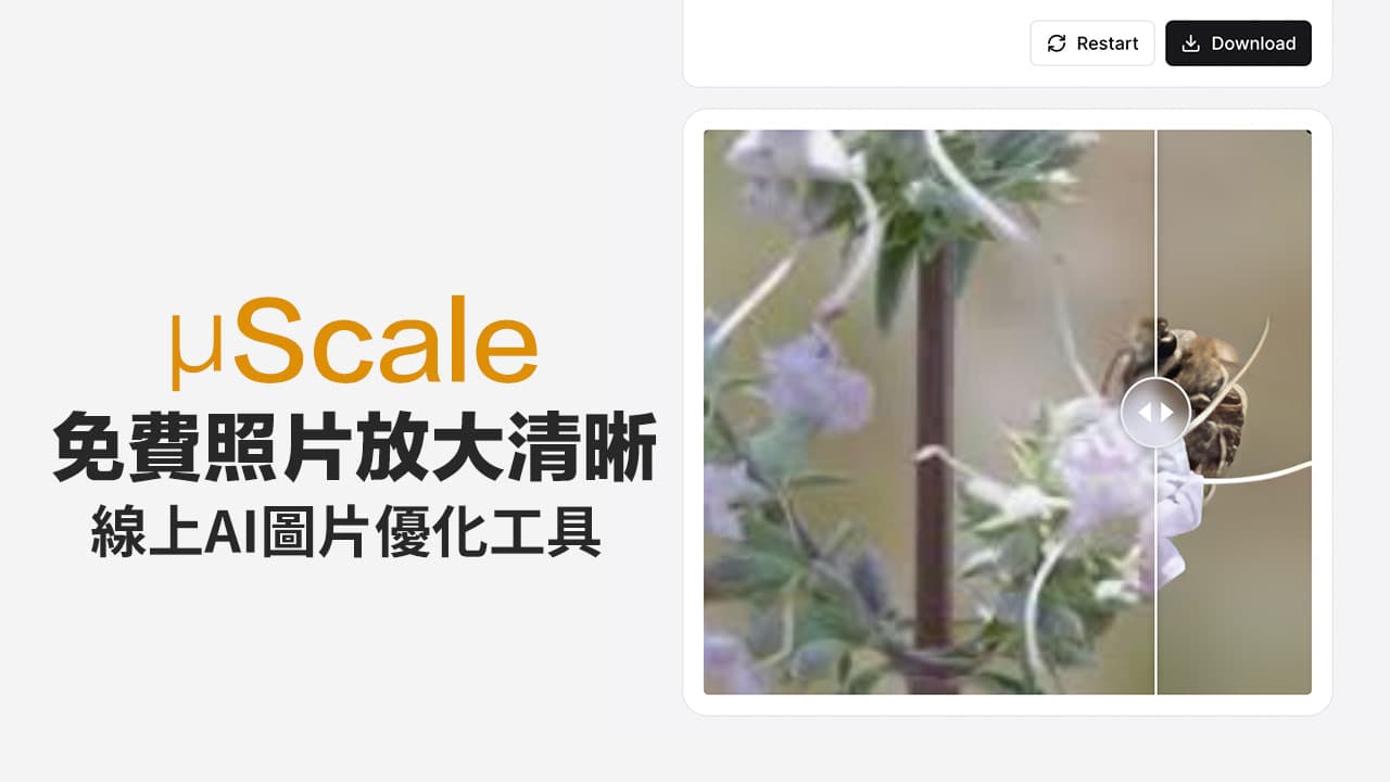 μScale 照片放大清晰线上免费工具，图片放大4倍也不失真