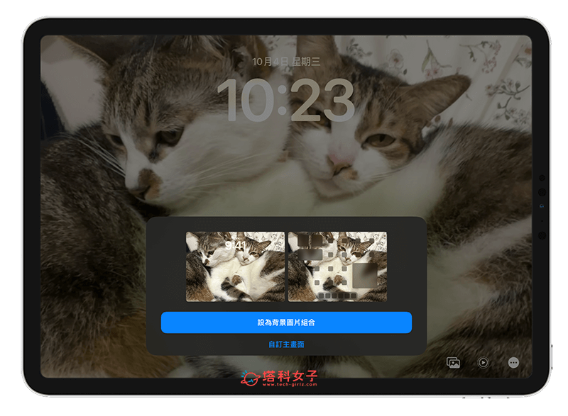 iPad 动态壁纸设定方法：设为背景组合或自定义主画面