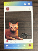 《迷失》(Stray) 日本限定实体特别版开箱