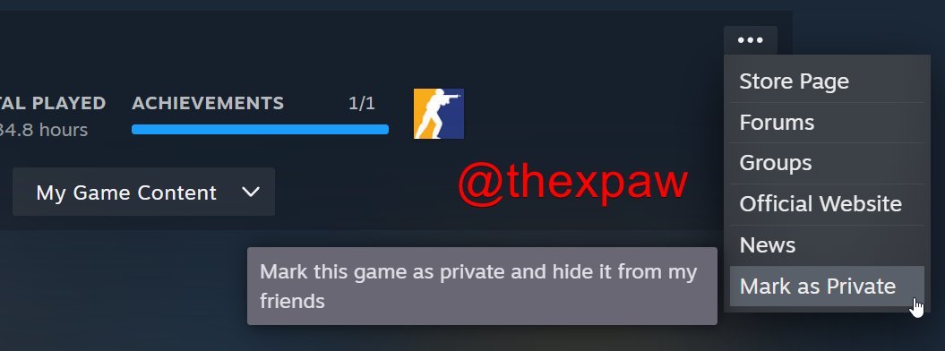 Steam未来似乎有望增设「隐藏私人状态」 你的好友看不到你正在玩什么「不可告人」的游戏