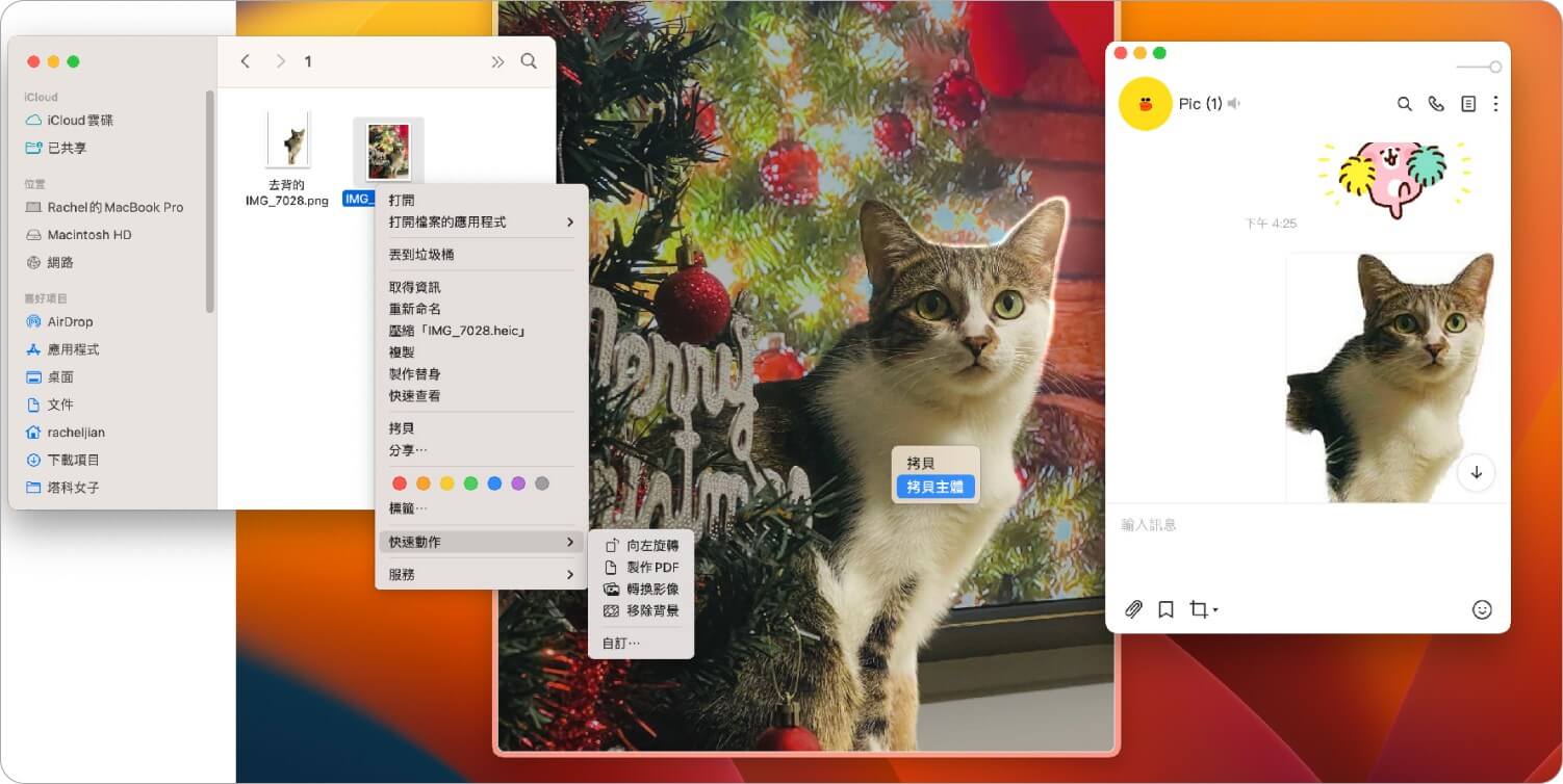 Mac 功能 13：图片快速拷贝主体及去背