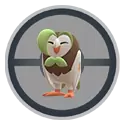 《Pokémon GO》2024 年 1 月开春社群日「木木枭」首发抢先上阵