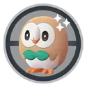 《Pokémon GO》2024 年 1 月开春社群日「木木枭」首发抢先上阵