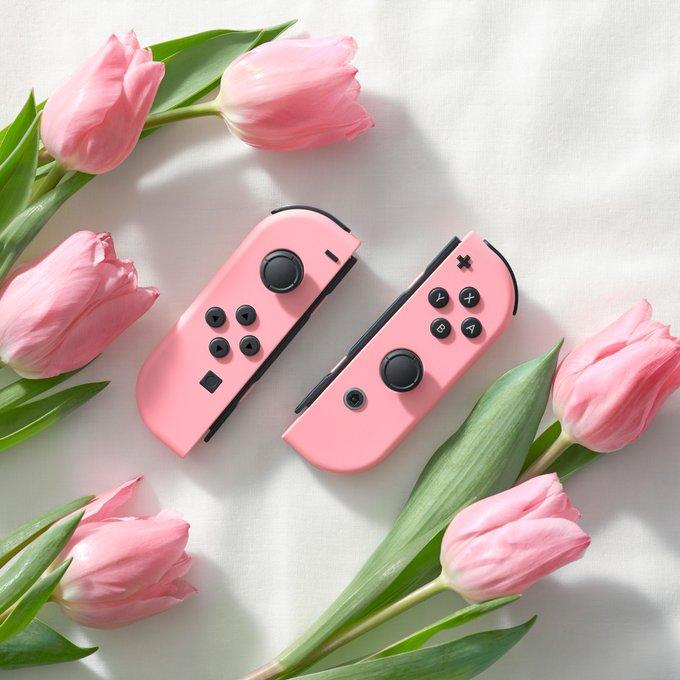 任天堂公开限定粉色 Switch 手把！ 迎接碧姬公主首款独立作品