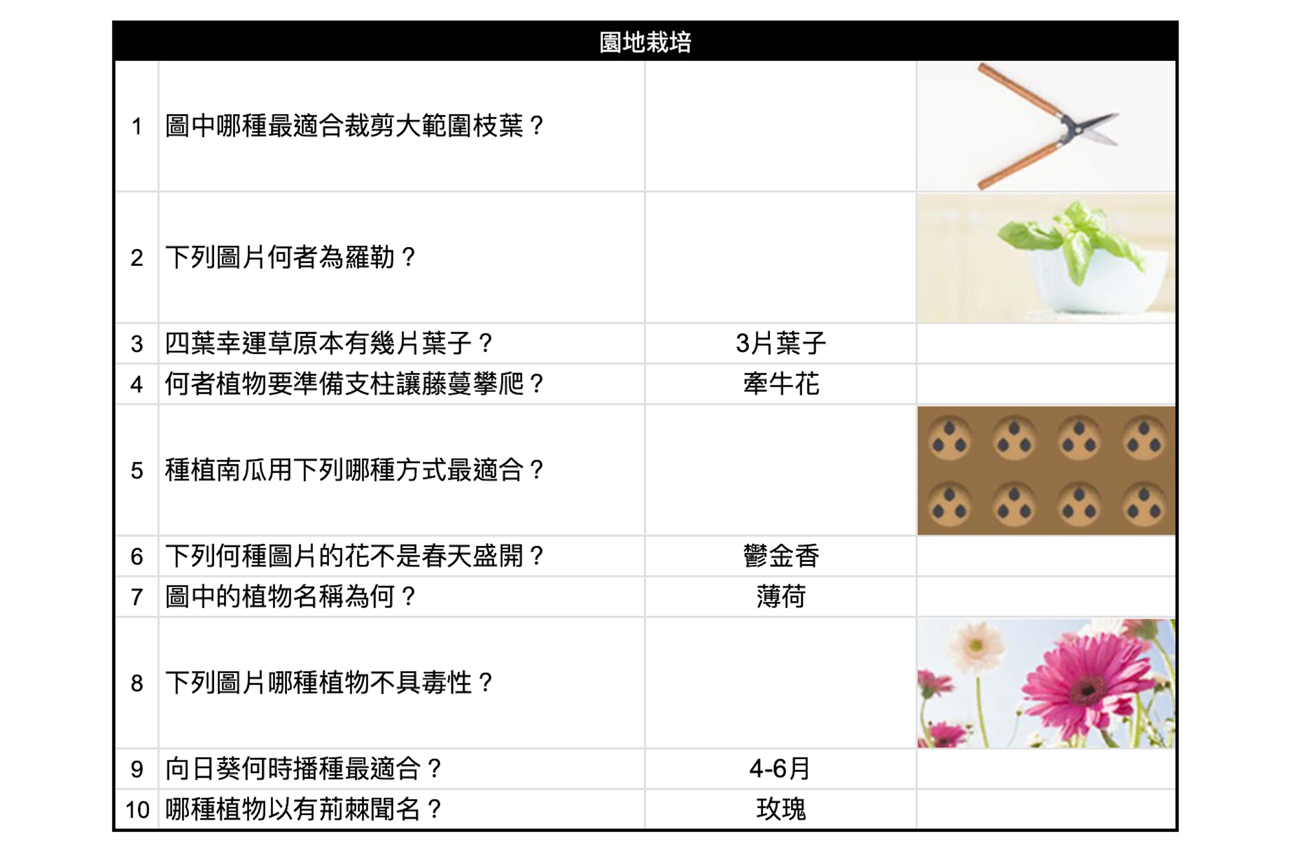 如龙8攻略心得：大海原证照学校21张证照必胜法 全考题200题答案整理