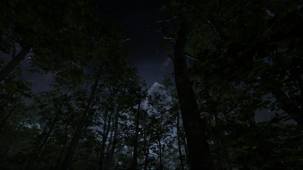 Steam露营模拟器Camping Vlog Simulator 2024 有日夜变化、天候系统 露营装备随进度解锁