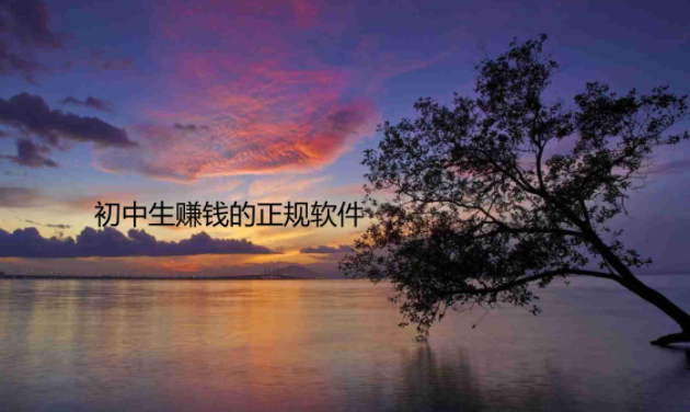 初中生赚钱的正规软件有哪些，合适14-15-16岁初中生一单一结的赚钱软件