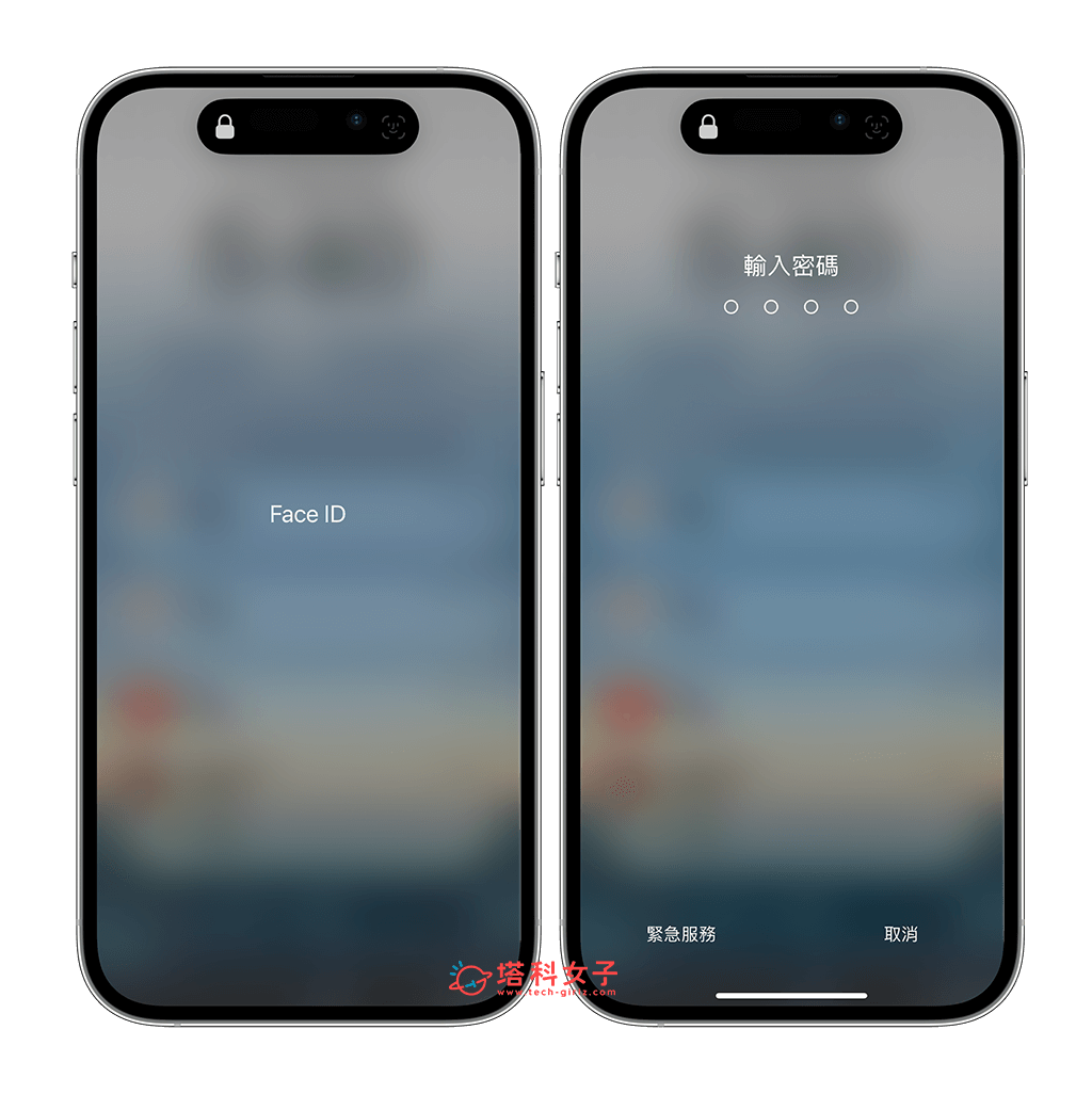 iPhone App 密码设置