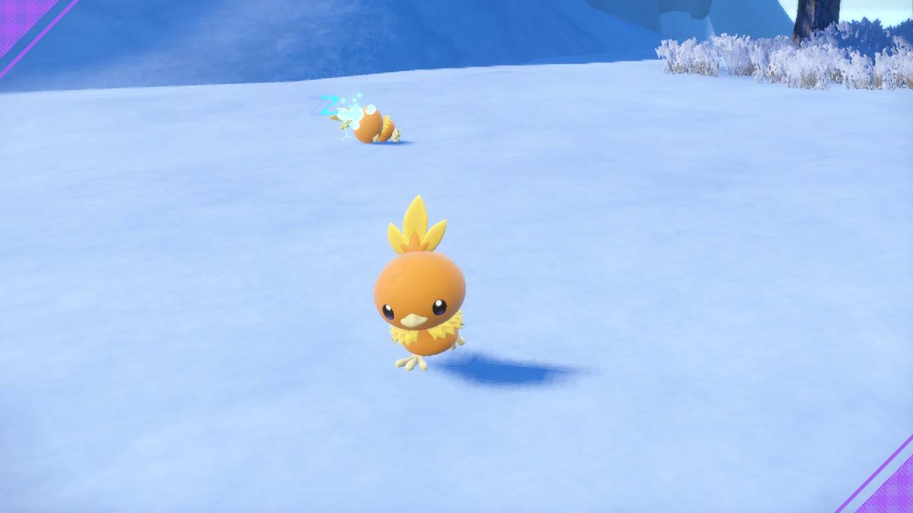 【心得】Pokémon 宝可梦 紫 118小时帕底亚图鉴完成+DLC