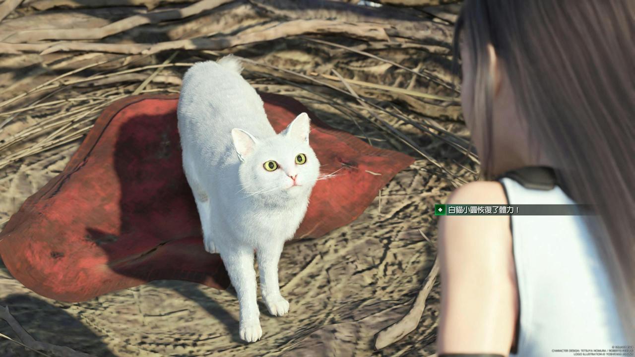 Final Fantasy 7重生攻略心得：全8张钢琴琴谱取得方式、地图位置整理